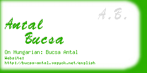 antal bucsa business card